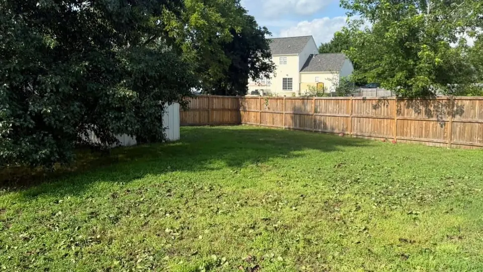 After: the fenced backyard with the brush pile gone and the lawn clear