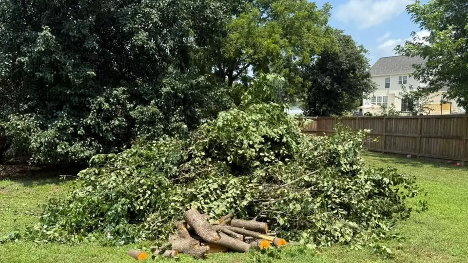 Before: a large pile of cut tree branches and logs in a fenced backyard