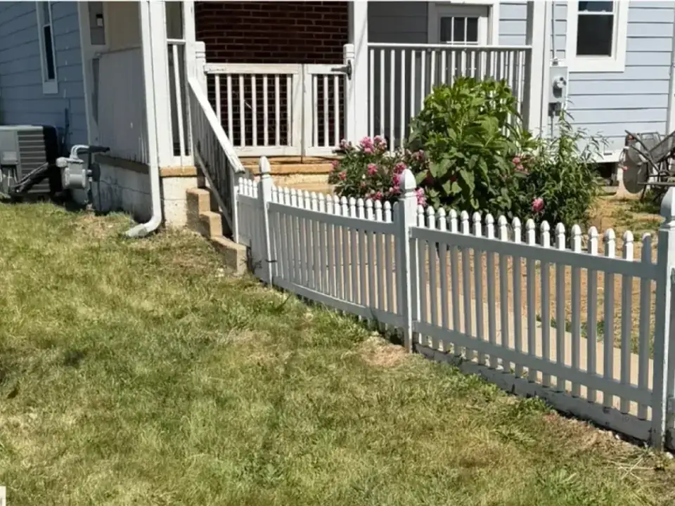 After: the same lawn and fence line completely cleared