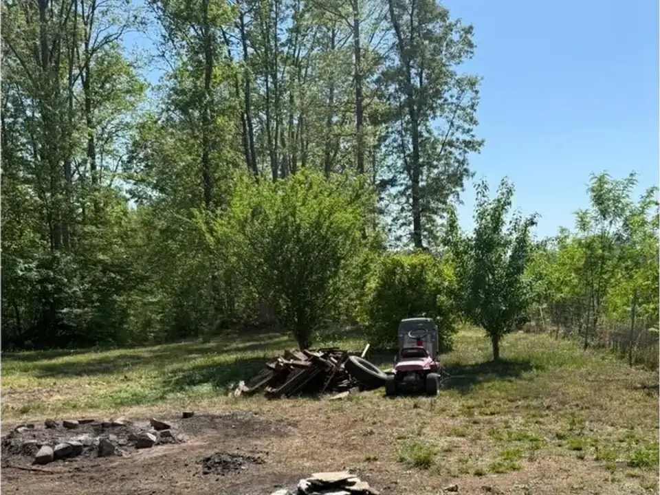 After: the wooded yard cleared
